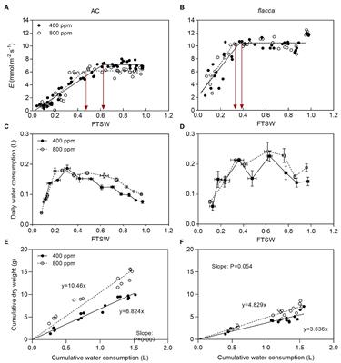 Elevated CO2 Modulates Plant Hydraulic Conductance Through Regulation of PIPs Under Progressive Soil Drying in Tomato Plants